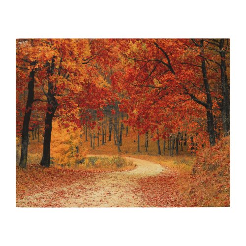 Orange Fall Leaves Country Dirt Road Photo  Wood Wall Art