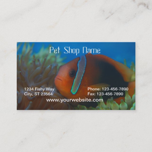 Orange Fish Business Card (Front)