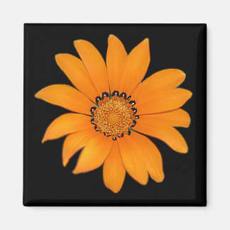Orange Floral Magnet