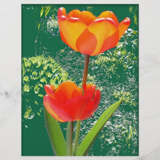 Orange Flower (Front)