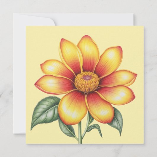 Orange Flower (Back)