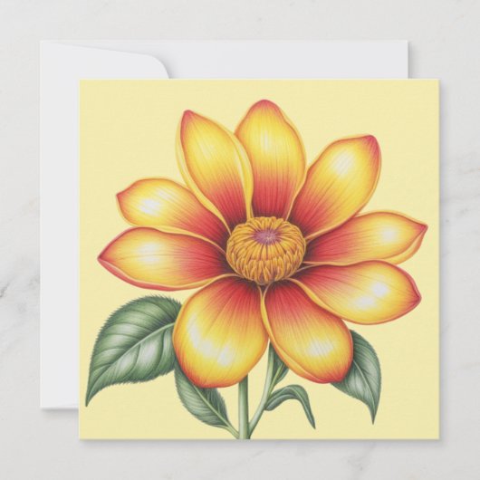 Orange Flower (Front)