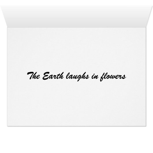 Orange Flower (Inside Horizontal (Bottom))