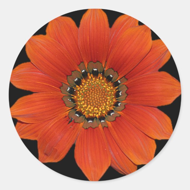 Orange Flower2  Sticker (Front)
