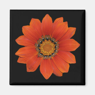 Orange Flower 2  Magnet