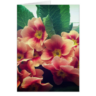 Orange Flower Blank Card