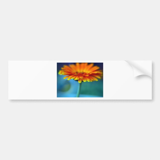 Orange Flower Bumper Sticker (Front)