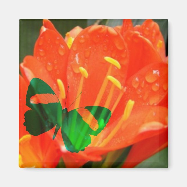 Orange Flower Butterfly Square Magnet (Front)