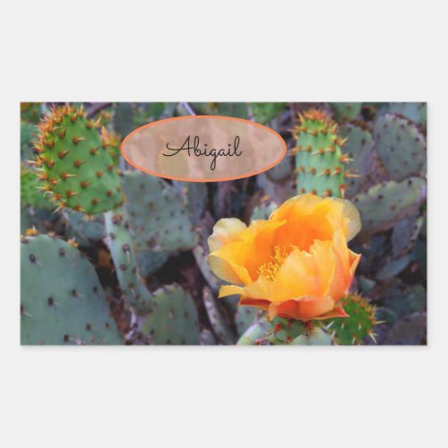 Orange Flower Cactus Blossom Opuntia Prickly Pear Rectangular Sticker