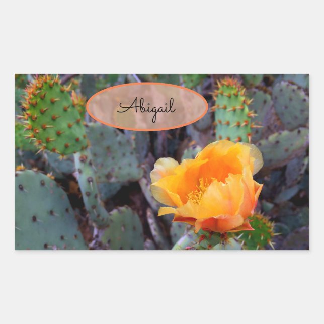 Orange Flower Cactus Blossom Opuntia Prickly Pear Rectangular Sticker (Front)