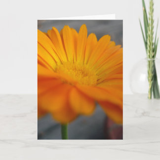 orange flower card