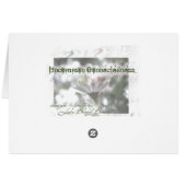 orange Flower Cards (Back Horizontal)