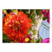 Orange Flower Cards (Front Horizontal)