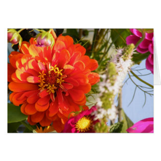 Orange Flower Cards