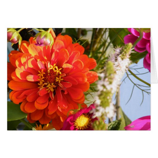 Orange Flower Cards (Front Horizontal)
