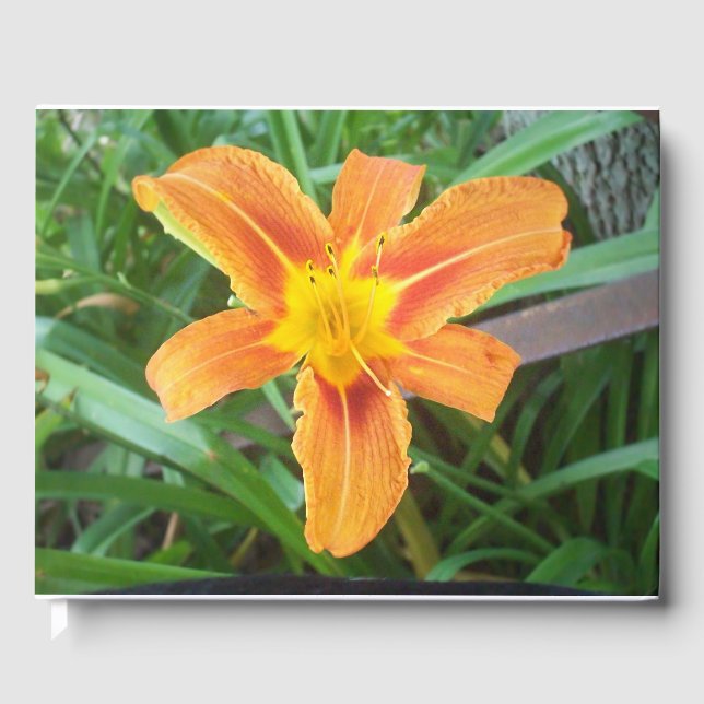 Orange Flower Guest Book (Front)