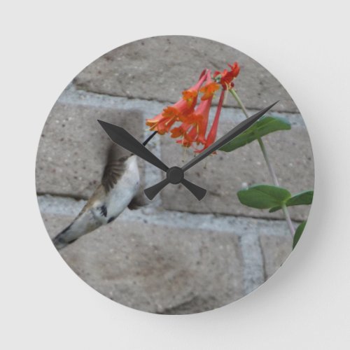 Orange flower Hummingbird Round Clock
