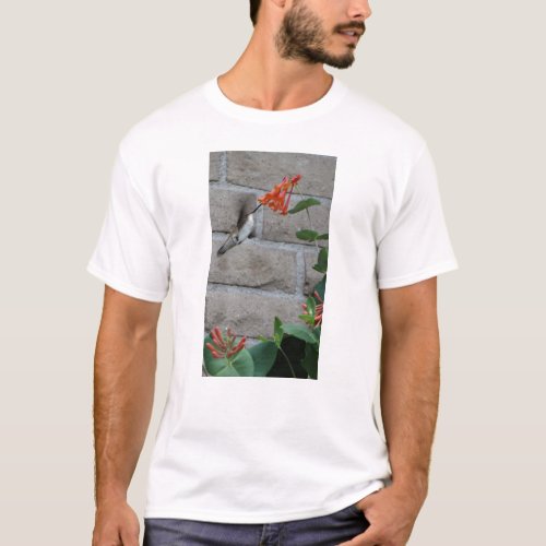 Orange flower Hummingbird T_Shirt