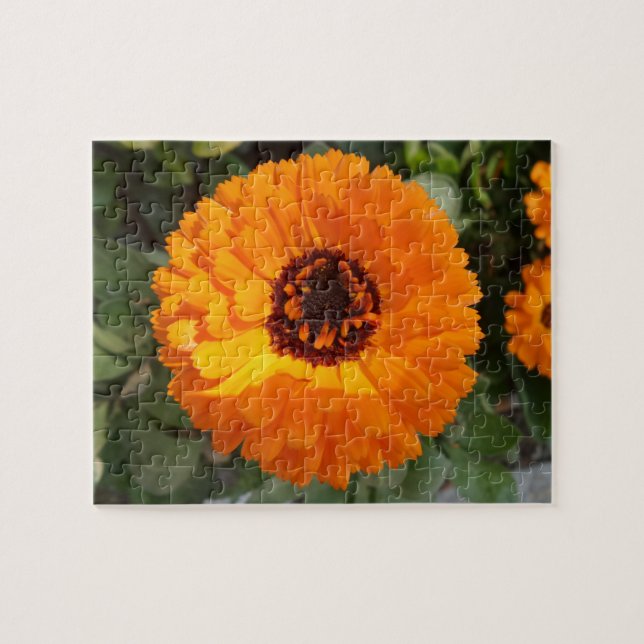 Orange Flower Jigsaw Puzzle (Horizontal)