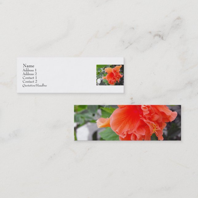 Orange Flower Mini Business Card (Front/Back)
