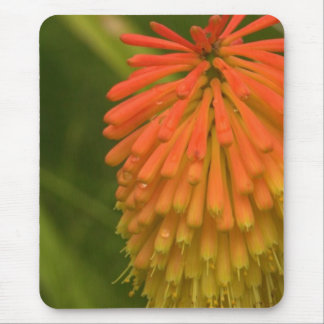 Orange Flower Mouse Pad