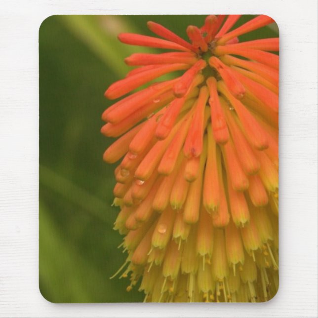 Orange Flower Mouse Pad (Front)