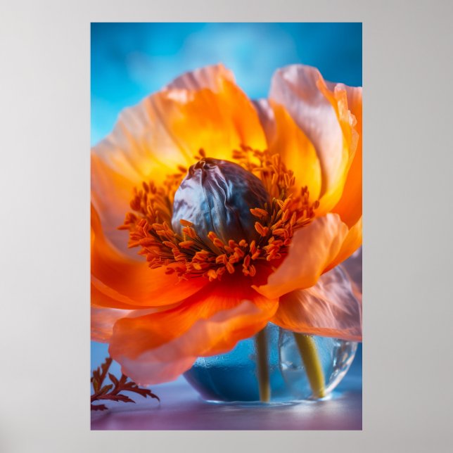 Orange Flower  Poster (Front)