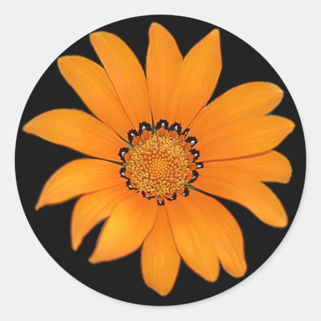 Orange Flower Sticker (Front)