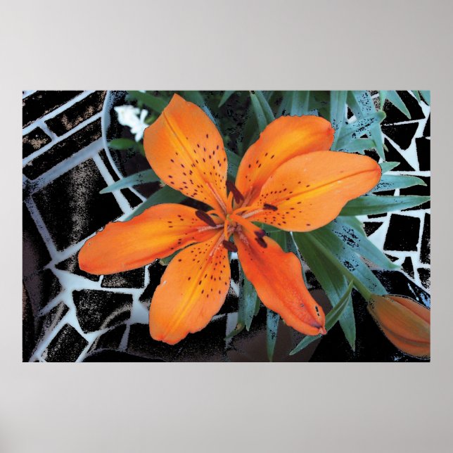 Orange Flower With Background Poster (Front)