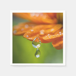 Orange Flower with Dew Drops Background Napkin