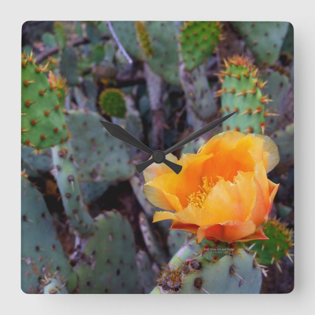 Orange Flowered Prickly Pear Opuntia Cactus Square Wall Clock (Front)
