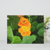 Orange flowers (Standing Front)