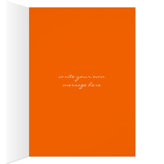 Orange Flowers Chicks Grunge Ink Blots Doodles Kid (Inside (Right))