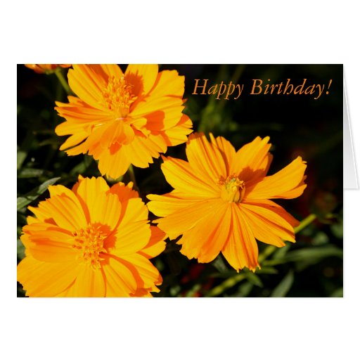 Orange Flowers Happy Birthday Card | Zazzle