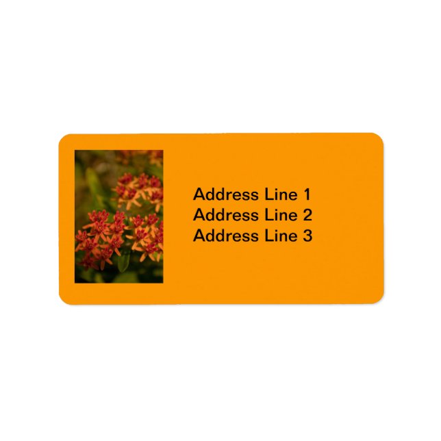 Orange Flowers in the Smoky Mountains Label (Front)