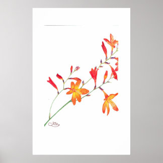 Orange Flowers Poster