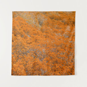 Orange forest view. Orange leaf background. Autumn Tapestry