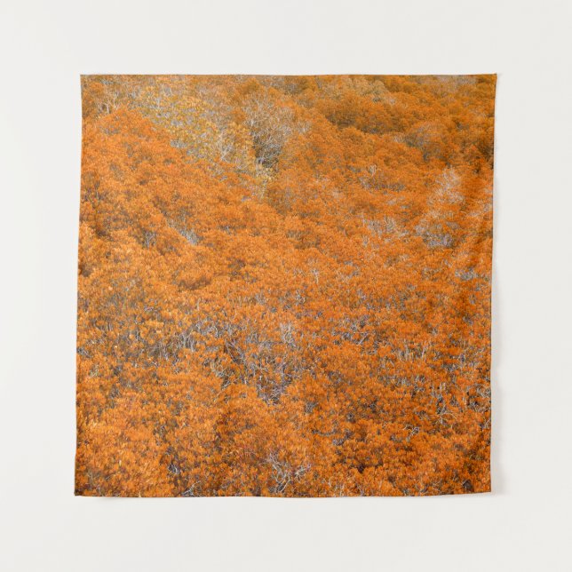 Orange forest view. Orange leaf background. Autumn Tapestry (Front)