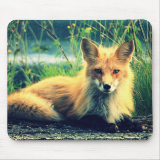 Orange fox mouse pad