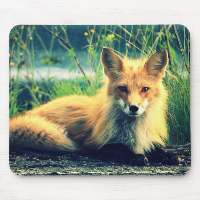 Orange fox mouse pad (Front)