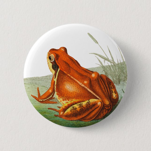 Orange frog vintage illustration button (Front)
