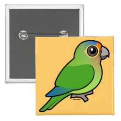 Birdorable Orange-fronted Parakeet Square Button