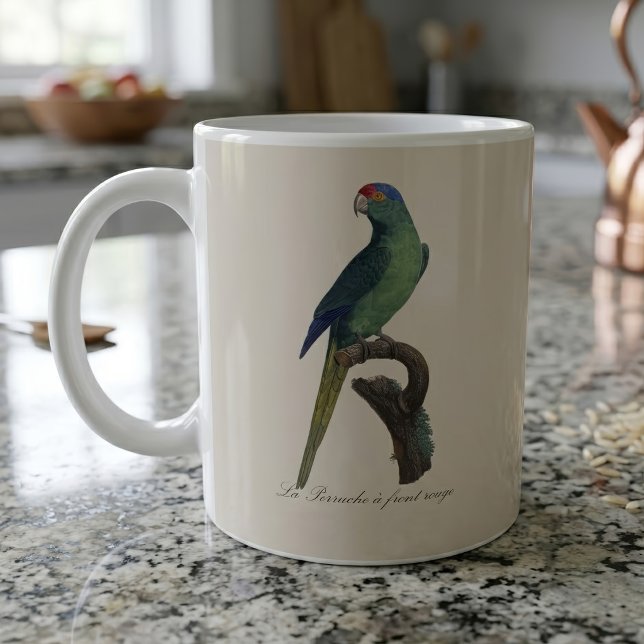 Orange-Fronted Parakeet, Eupsittula Canicularis Coffee Mug (Orange-Fronted Parakeet, Eupsittula Canicularis. Coffee Mug)