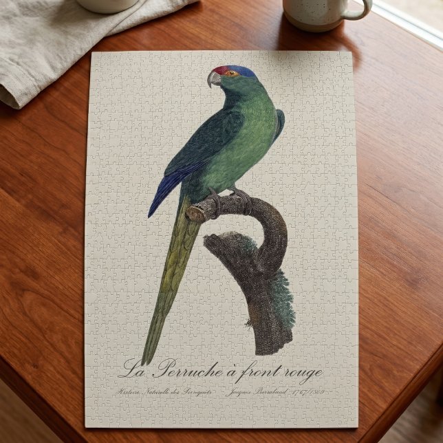 Orange-Fronted Parakeet, Eupsittula Canicularis Jigsaw Puzzle (Orange-Fronted Parakeet, Eupsittula Canicularis. Jigsaw Puzzle)