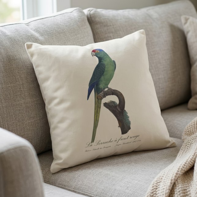 Orange-Fronted Parakeet, Eupsittula Canicularis Throw Pillow (Orange-Fronted Parakeet, Eupsittula Canicularis. Throw Pillow)