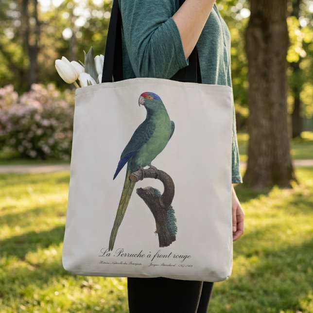 Orange-Fronted Parakeet, Eupsittula Canicularis Tote Bag (Orange-Fronted Parakeet, Eupsittula Canicularis. Tote Bag)