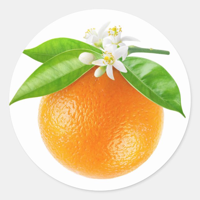 Orange fruit and flowers classic round sticker (Front)