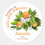 Orange Fruit Canning Classic Round Sticker