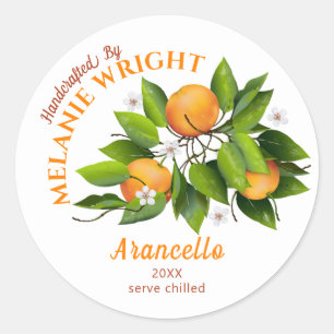Orange Fruit Canning Classic Round Sticker