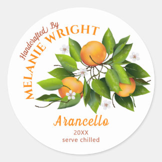 Orange Fruit Canning Classic Round Sticker